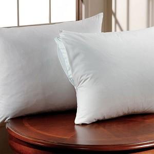 Protector de Almohada con Cierre Downlite